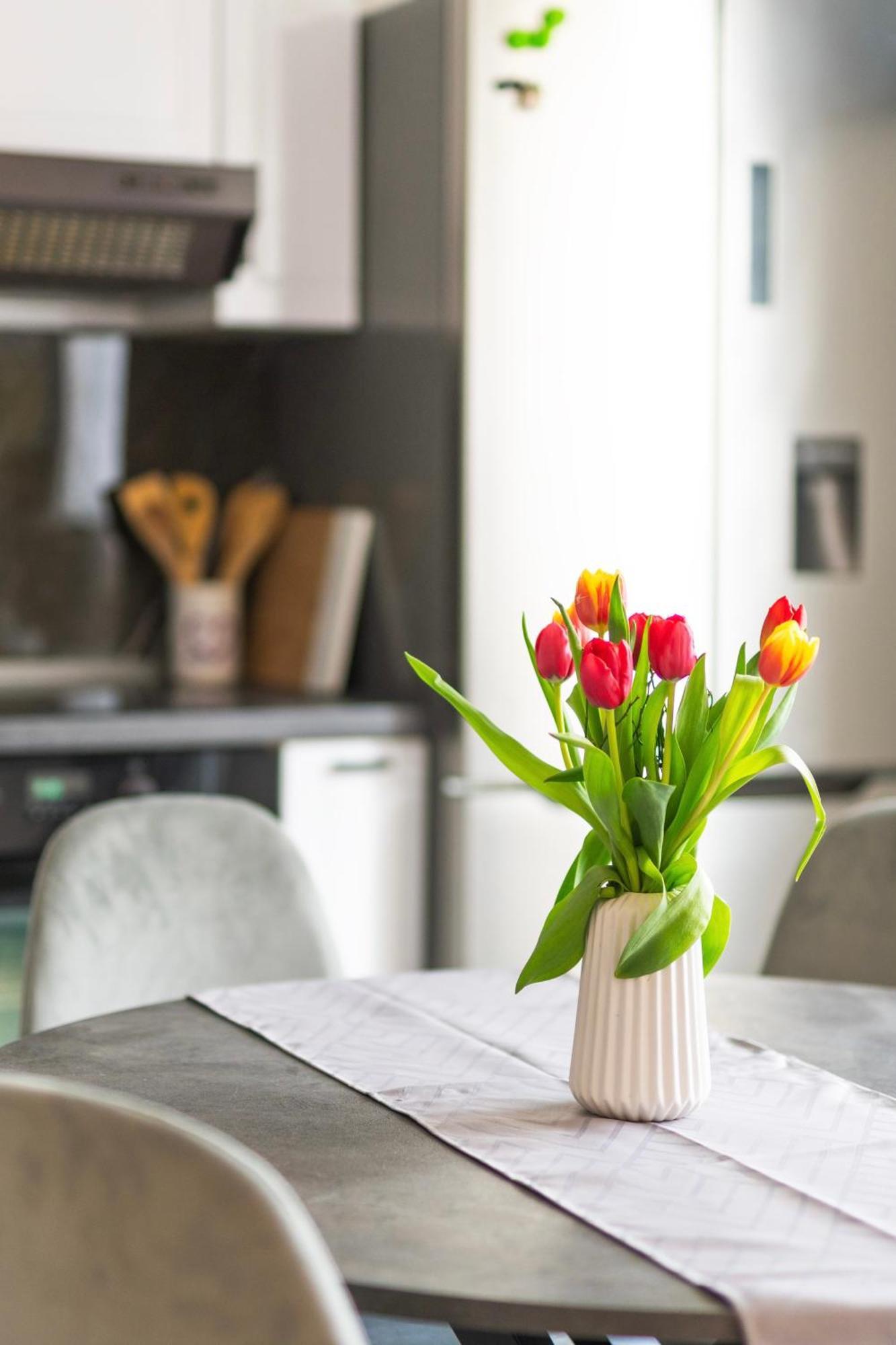 Apartment Vita إيزولا المظهر الخارجي الصورة